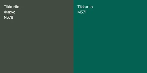 N378 Фикус vs M371 null