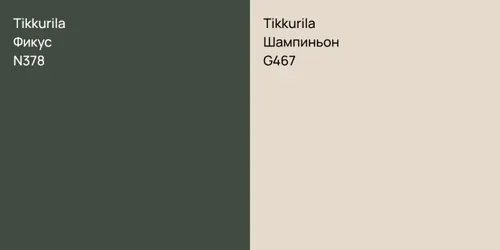 N378 Фикус vs G467 Шампиньон