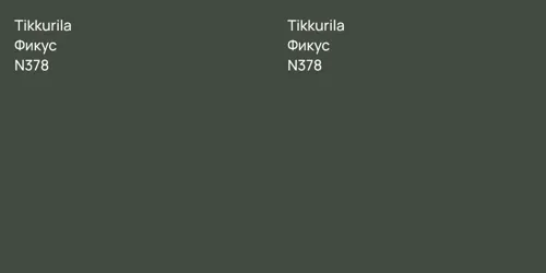 N378 Фикус vs N378 Фикус