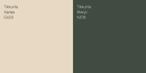 G459 Халва vs N378 Фикус