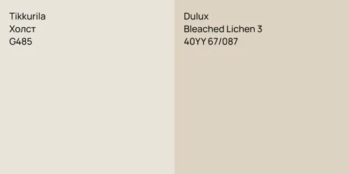 G485 Холст vs 40YY 67/087 Bleached Lichen 3