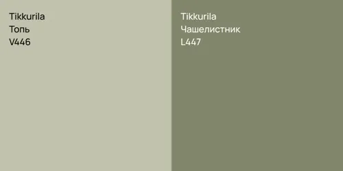V446 Топь vs L447 Чашелистник
