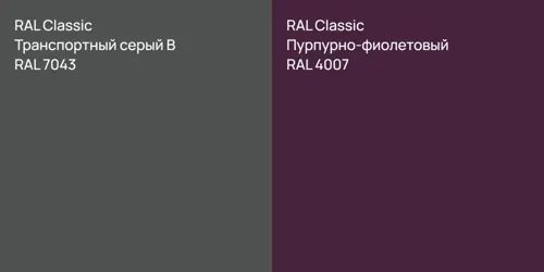RAL 7043 Транспортный серый B vs RAL 4007 Пурпурно-фиолетовый