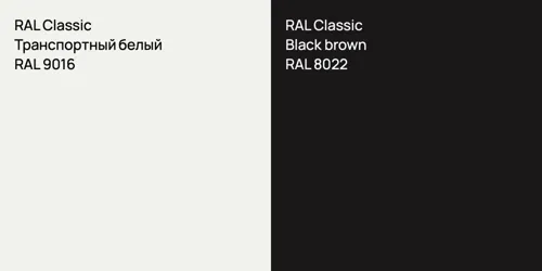 RAL 9016 Транспортный белый vs RAL 8022  Black brown