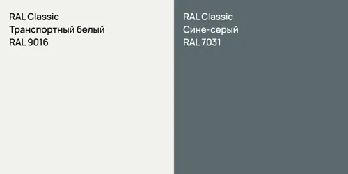 RAL 9016 Транспортный белый vs RAL 7031 Сине-серый
