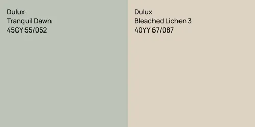 45GY 55/052 Tranquil Dawn vs 40YY 67/087 Bleached Lichen 3