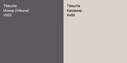 V502 Инжир (Viikuna) vs X485 Кашемир
