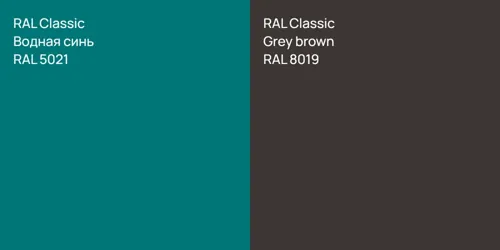 RAL 5021 Водная синь vs RAL 8019  Grey brown