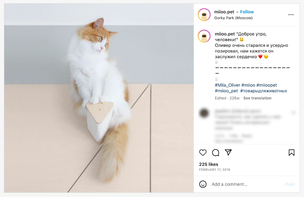 Miio - стильные товары для кошек