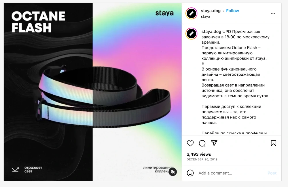 Octane Flash - лимитированная экипировка для собак