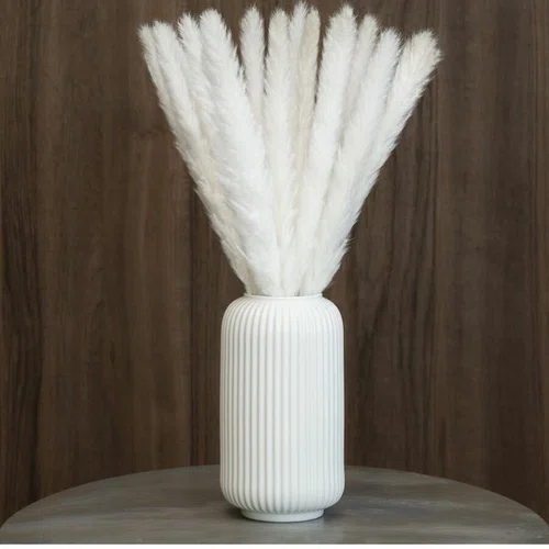 Белая пампасная трава для декора 15шт