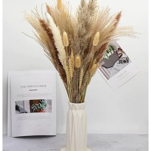 Букет сухоцветов пампасная трава и колоски