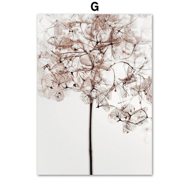 Постер с сухим растением, 40х50см